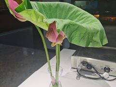 -禧宴Joyous Restaurant(禧园店)
