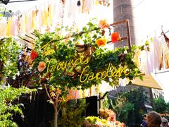 -The Grounds of Alexandria