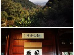 -韬光茶庵