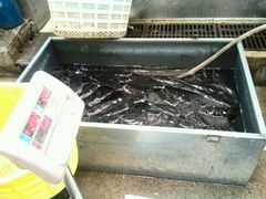 -岳各庄批发市场(西四环中路店)