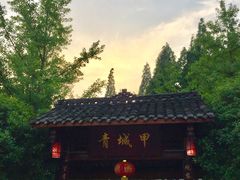 -青城甲(青城山店)