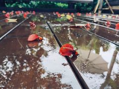 -三圣花乡旅游区