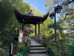 -乌山风景区