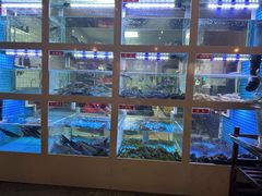 -石锅苗苗鱼(武汉首店)