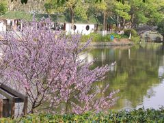 -太子山公园(园东路)
