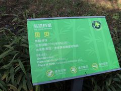 -中国大熊猫保护研究中心雅安碧峰峡基地