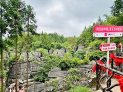 -梭布垭石林景区