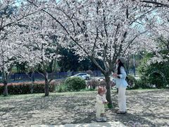 -幕燕滨江·燕子矶公园