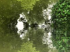 -定园