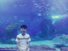 -多彩贵州城极地海洋世界