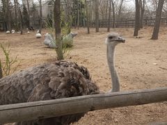 -大连森林动物园