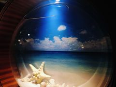 -海韵之星邮轮水会(明发商业广场店)