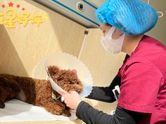 -美联众合动物医院·24h京西诊疗中心