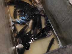 -鄱阳湖·江西小炒·瓦罐煨汤(五道口店)