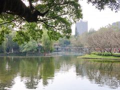-晓港公园