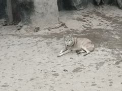 -南昌动物园