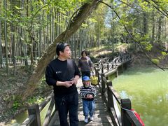 -宝岩生态观光园