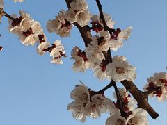 -终南山国家森林公园