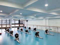 -西安小天鹅艺术团(曲江Alice店)