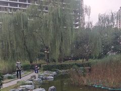-木塔寺遗址生态公园
