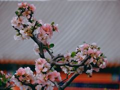-陶然亭公园