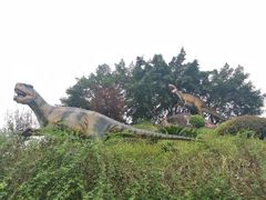 -自贡恐龙博物馆