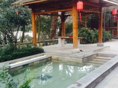 飘雪温泉-黄山温泉国际旅游度假区