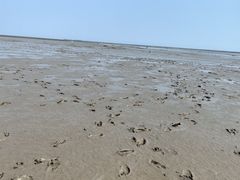-启东黄金海滩景区