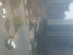 android_upload_pic-颐康家园