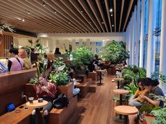 大堂-Seesaw Coffee(朝阳大悦城店)