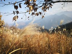 -石砭峪水库