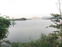-立新湖公园