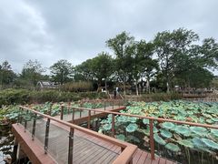 -上海市保健医疗中心