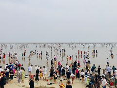 -碧海金沙