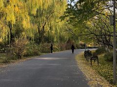 -奥林匹克森林公园南门-停车场