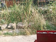 -竹泉村旅游度假区