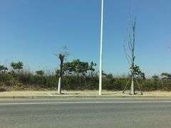 -春花秋色城市公园