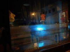 -佳百利宠物(荣乐中路115弄小区店)