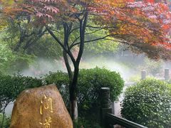 -十八棵（老龙井）御茶园(老龙井店)