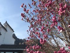 -北京凤凰岭
