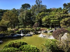 -东莞植物园