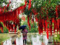 -西双版纳勐泐文化旅游区