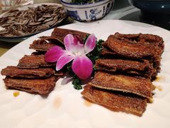 -唐猫庭院·千年陕菜(大唐不夜城店)