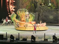 -广州长隆国际大马戏