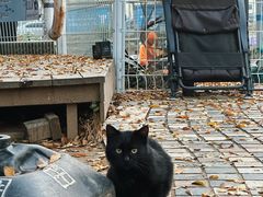 -酷鱼垂钓CLUB(朝阳区博大路店 )