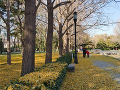 -玲珑塔公园