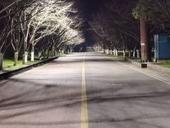 -团城山公园