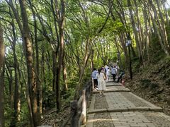 -苏州上方山国家森林公园