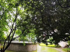-西南政法大学(沙坪坝校区)