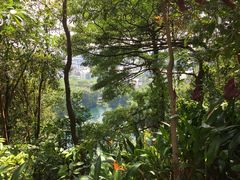 -武吉知马自然保护区